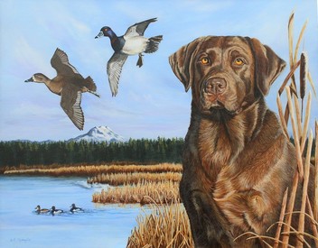 Chocolate Lab and Ring Neck Ducks