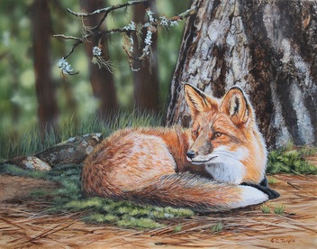 Red Fox of the Three Tree Woods